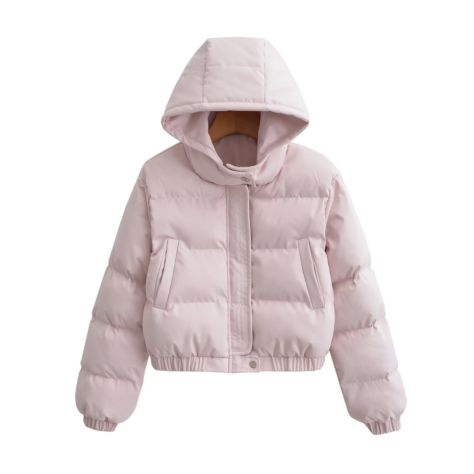Hooded Puffer