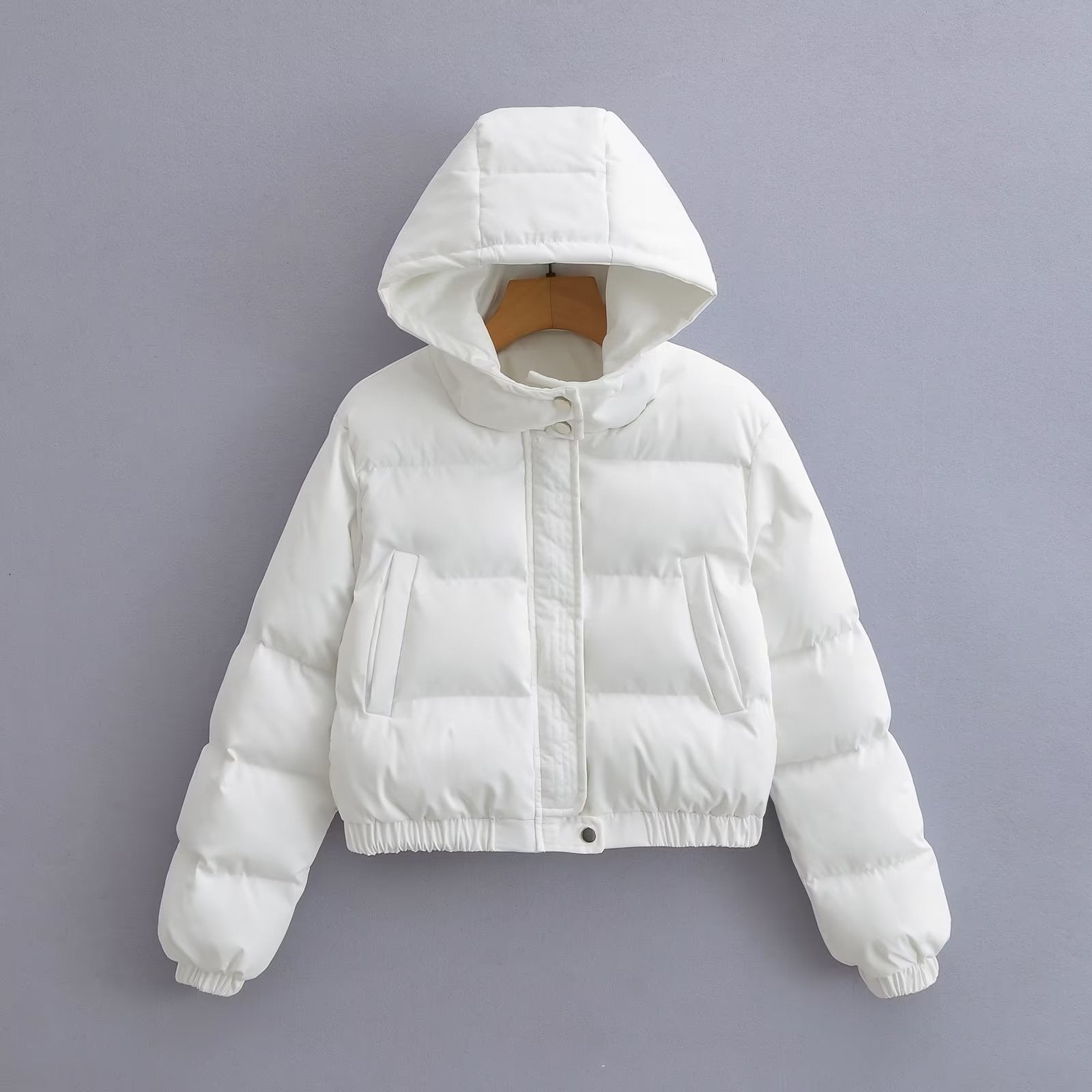 Hooded Puffer