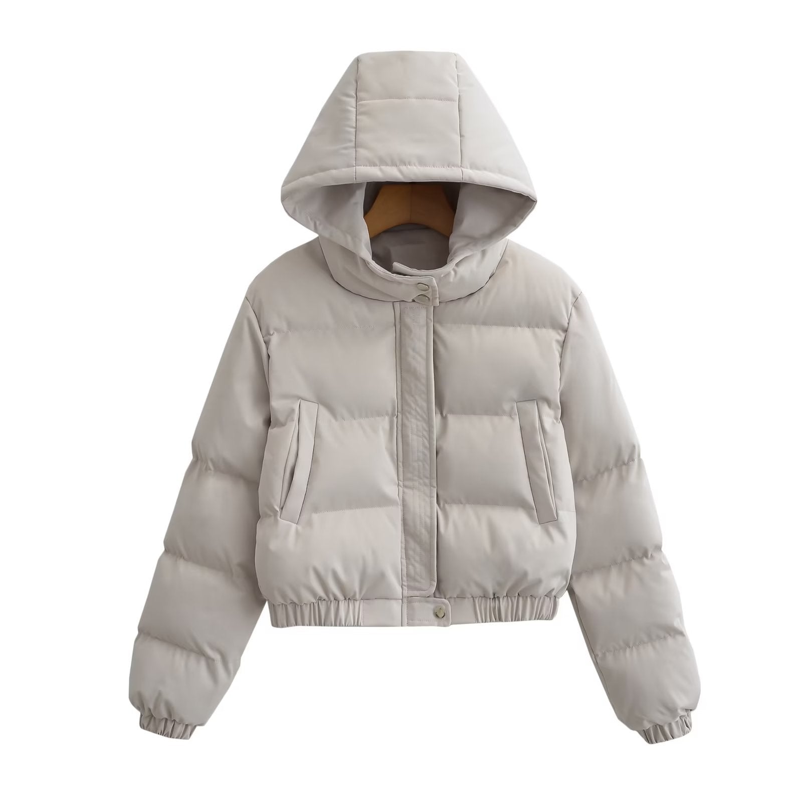 Hooded Puffer