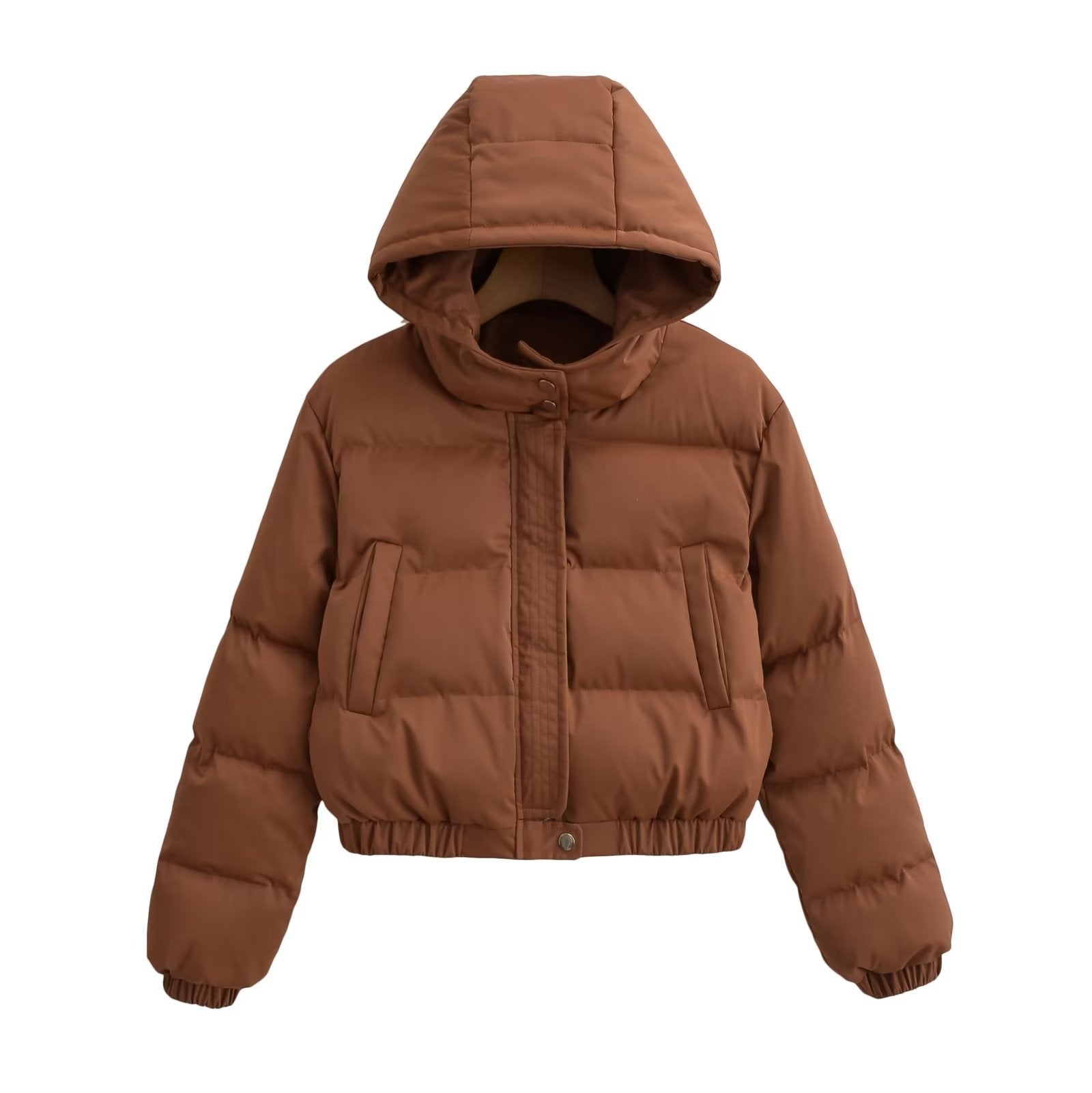 Hooded Puffer
